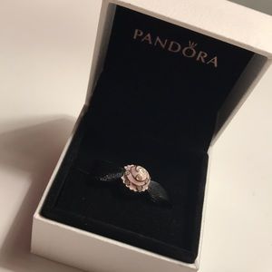 Pandora charm